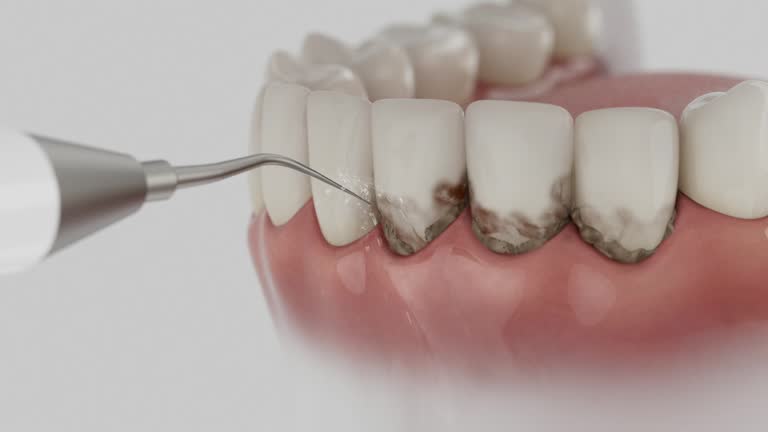 Reliable Dental contractor in Nellieburg, MS by Dentist Open Now